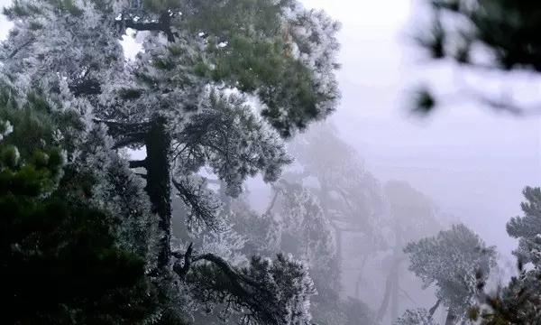王傲世的梦