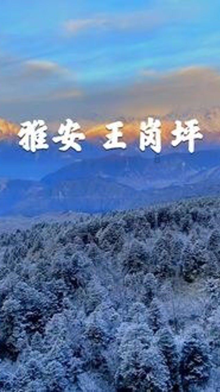 新手魔法师