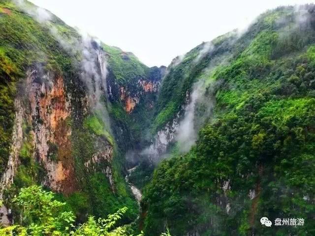 《木筏求生》河豚爆炸后果介绍